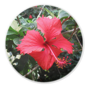 De Porte En Céramique Bouton rouge Hibiscus Drawer