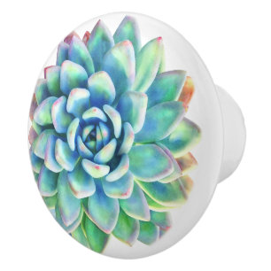 De Porte En Céramique succulent bouton décoratif