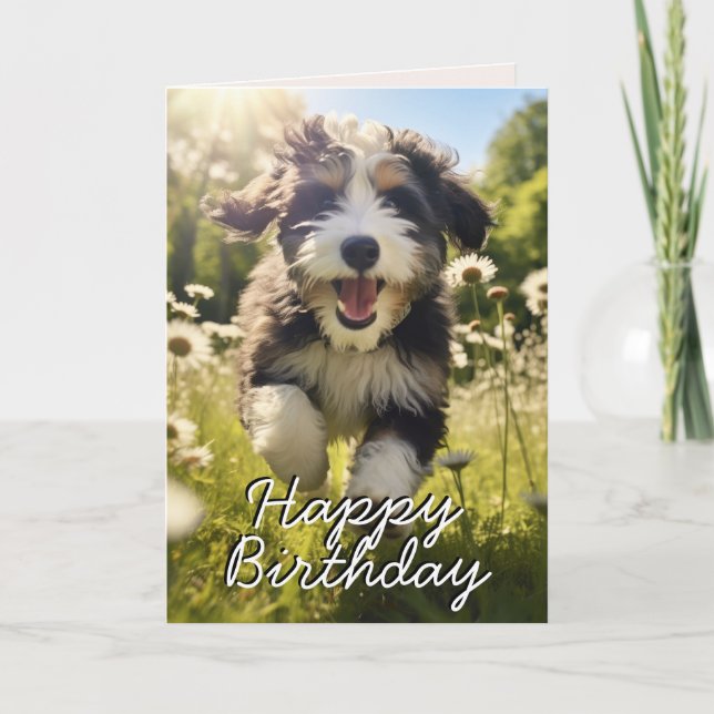De Remerciements Bernedoodle personnalisé Bonne carte d'anniversair (Devant)