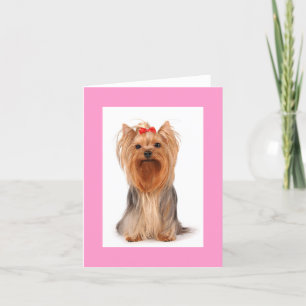 De Remerciements Blond Yorkshire Terrier Chien Chien Carte pour not