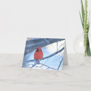 De Remerciements Cardinal carte pour notes