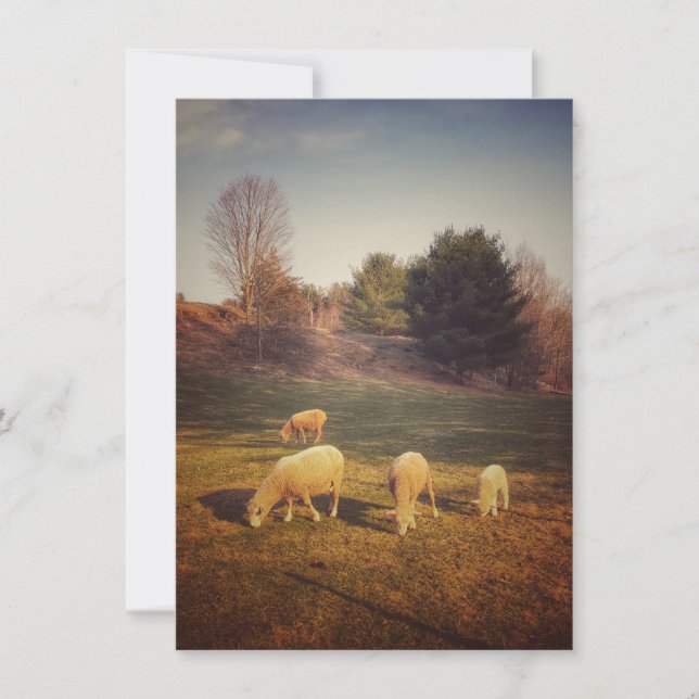 De Remerciements Carte blanche (Devant)