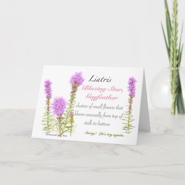 De Remerciements Carte blanche Liatris (Devant)