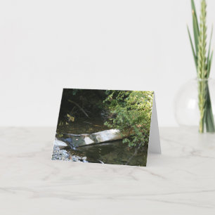 De Remerciements Carte blanche, Muir Woods