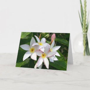 De Remerciements Carte blanche Plumeria Blooms