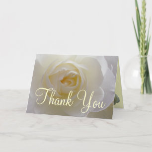 De Remerciements Carte blanche rose