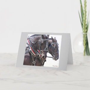 De Remerciements Carte Cheval