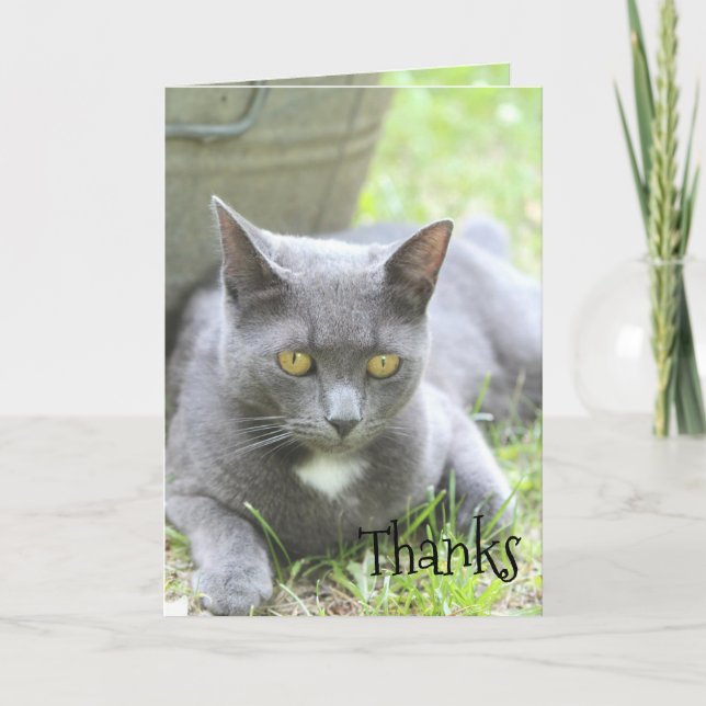 De Remerciements Carte Chic Shabby (Devant)