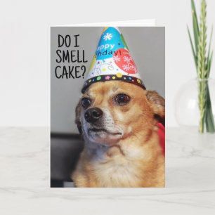 DE REMERCIEMENTS CARTE D'ANNIVERSAIRE CHIHUAHUA CHIHUA CHIHUA CHIHU