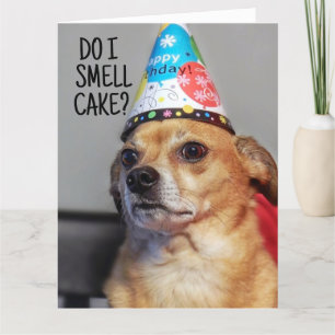 DE REMERCIEMENTS CARTE D'ANNIVERSAIRE CHIHUAHUA CHIHUA CHIHUA CHIHU