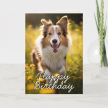 Carte d'anniversaire Collie personnalisée