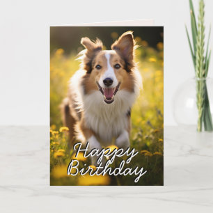 De Remerciements Carte d'anniversaire Collie personnalisée