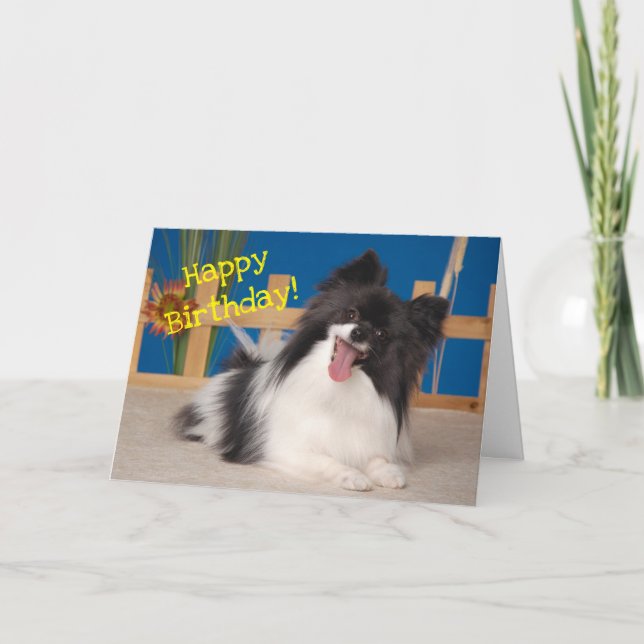 De Remerciements Carte d'anniversaire du chien mignon, Papillon (Devant)