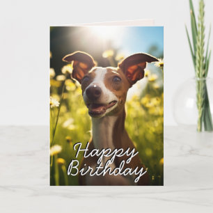 De Remerciements Carte d'anniversaire Greyhound italienne personnal