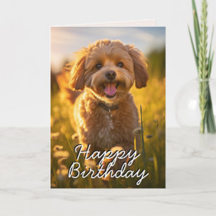 De Remerciements Carte d'Anniversaire Personnalisée Cavoodle/Cavapo