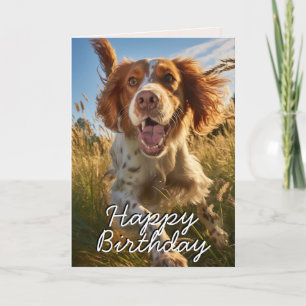 De Remerciements Carte d'anniversaire personnalisée Gordon Setter