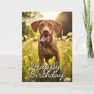 De Remerciements Carte d'anniversaire personnalisée Vizsla