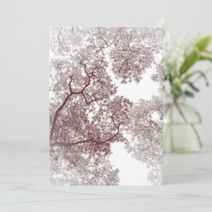De Remerciements Carte des arbres 4