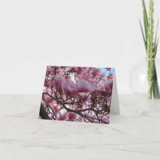 De Remerciements Carte Fuchsia Magnolia en floraison