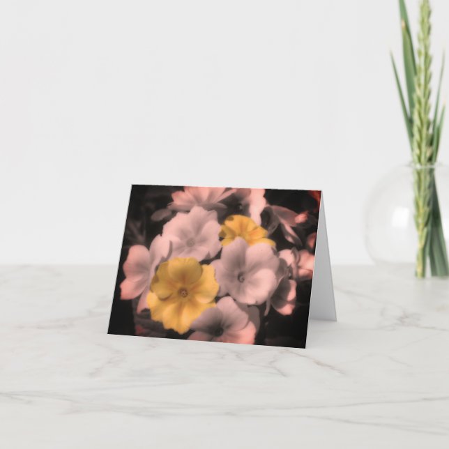 De Remerciements Carte Noir Et Blanc Fleur Primrose (Devant)
