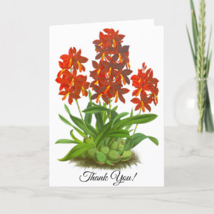 De Remerciements Carte personnalisée Orange Red Orchid