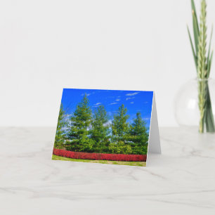 De Remerciements Carte Pliée Nature Colorée Vacances