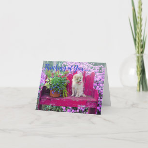 De Remerciements Carte Pomeranian Dog avec intérieur vierge pour vo