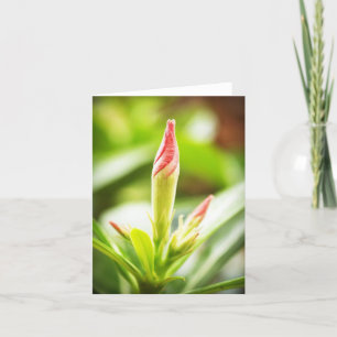 De Remerciements Carte pour notes Adenium