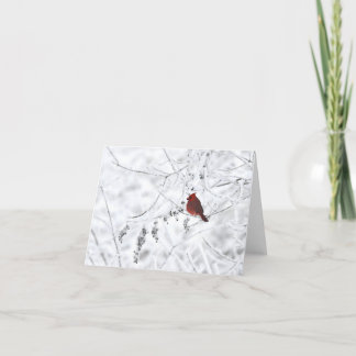 De Remerciements Carte pour notes blanc du cardinal d'hiver