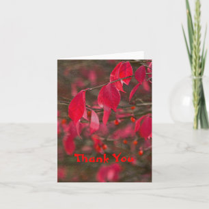DE REMERCIEMENTS CARTE POUR NOTES, "MERCI" FEUILLE ROUGE