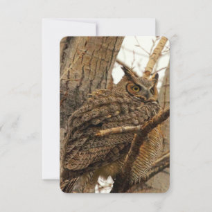 De Remerciements Carte pour notes plat Owl