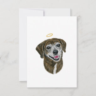 De Remerciements Carte Rainbow Chien Sympathy Card