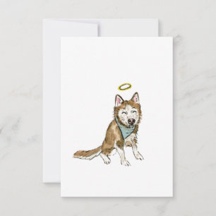 De Remerciements Carte Rainbow Chien Sympathy Card