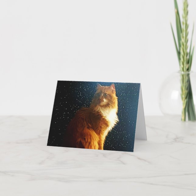 De Remerciements Carte Space Kitty et stars (Devant)