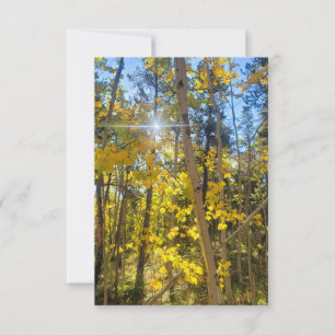 De Remerciements Carte Sun Aspen