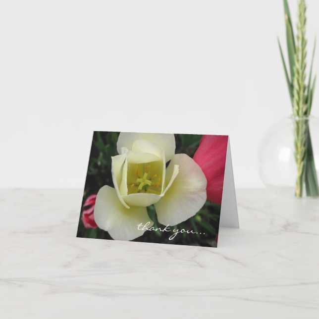 De Remerciements Carte Tulip personnalisable (Devant)