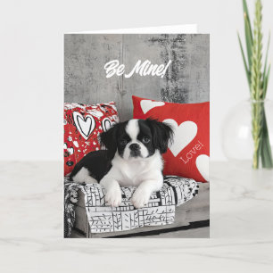 De Remerciements Carte Valentine Chiot Japonais