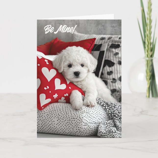 De Remerciements Carte Valentine Puppy Bichon Frise (Devant)