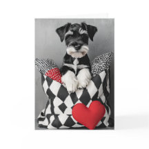 Carte Valentine Schnauzer Puppy