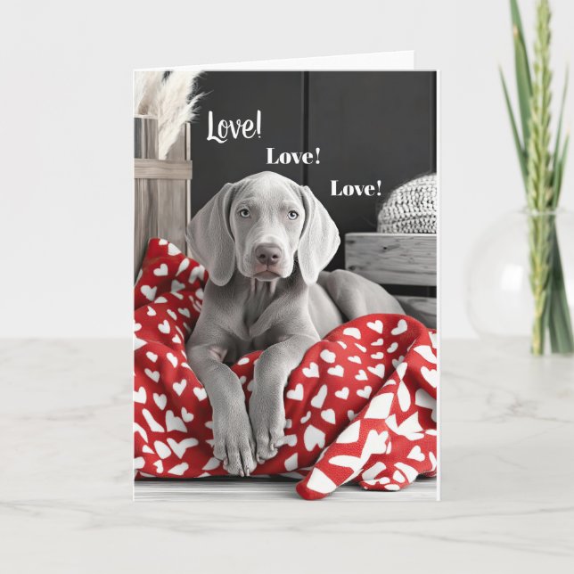 De Remerciements Carte Valentine Weimaraner (Devant)