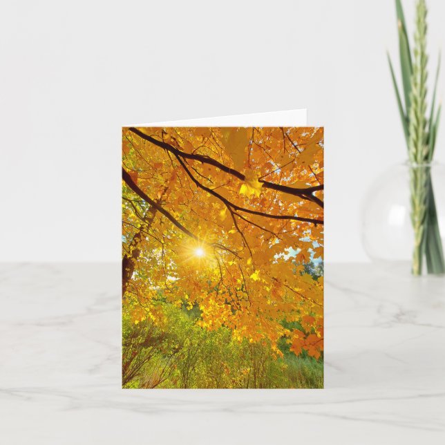 De Remerciements Couleurs d'automne blanc carte pour notes (Devant)