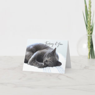 De Remerciements Cute Grey Chat Penser à votre carte