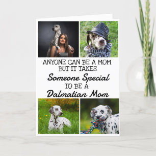 De Remerciements Dalmatien ...Meilleure carte mère