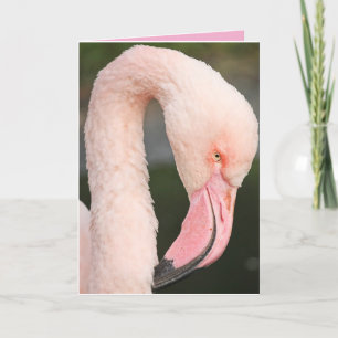 De Remerciements Flamant rose ROSE RESTER FABULEUSE CARTE D'ANNIVER