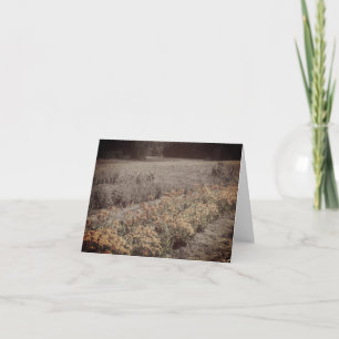 De Remerciements Jardin Fleur Noir Et Blanc Vintage Carte Note