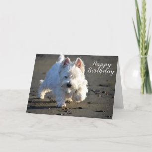 De Remerciements Joyeux Anniversaire Beachcombing Westie Carte phot