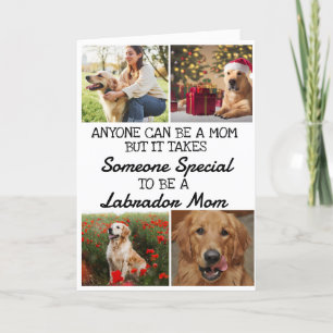 De Remerciements Labrador Retriever ...Meilleure carte mère