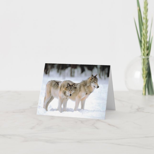 De Remerciements Les loups dans la carte du désert (Devant)