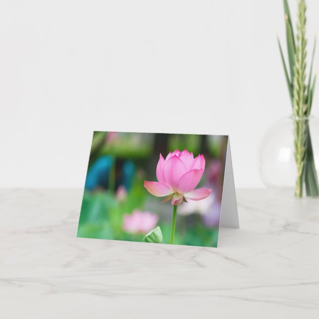 De Remerciements Lotus All Occasion Carte pour notes (Devant)