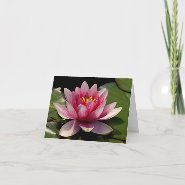De Remerciements Lotus All Occasion Carte pour notes (Devant)
